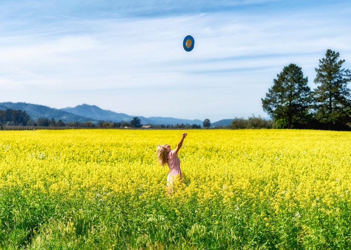 菜の花 の英語は Field Mustard レイプフラワーは使わない